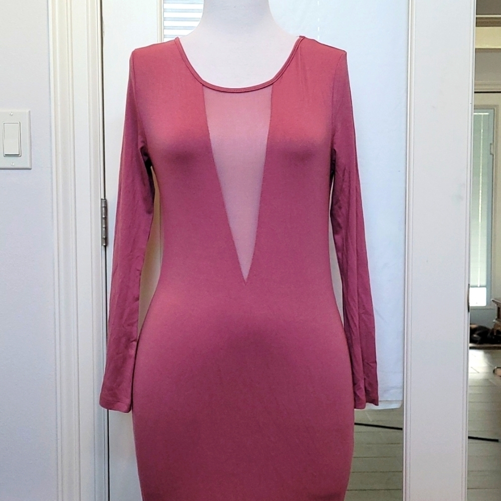 Duets Blush Bodycon Long Sleeve Dress